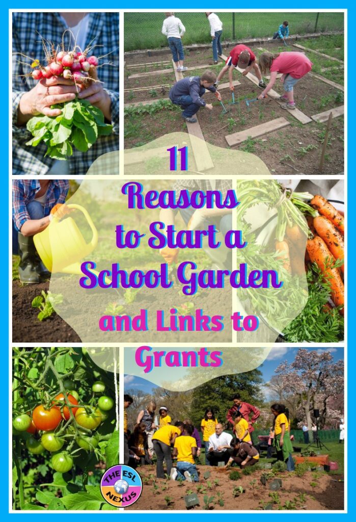 Collage of photos showing gardens and kids gardening, with blog post title in center.
